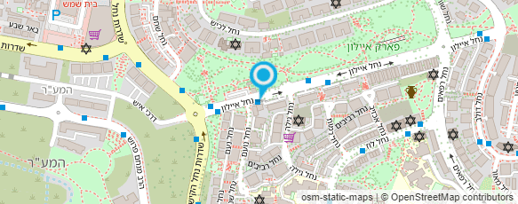 מפת הגעה אל מוסדית - היבט מערכות מידע