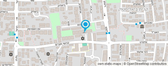 מפת הגעה אל הדס גלבגיסר-ציור בהזמנה