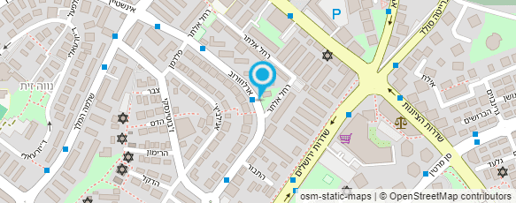 מפת הגעה אל סודות העור- תיקון סלונים