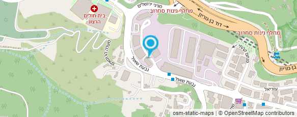 מפת הגעה אל דור אלון