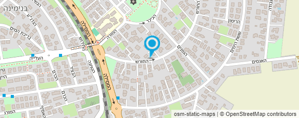 מפת הגעה אל איריס קאופמן