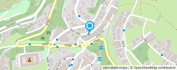 מפת הגעה אל דלק מנטה