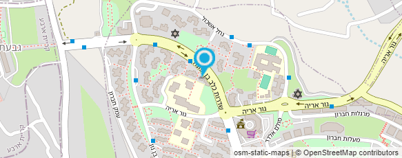 מפת הגעה אל מוניות י"ד