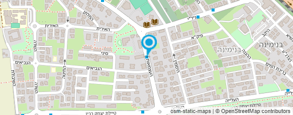 מפת הגעה אל אולגה צ'ונטונוב-בניית אתרים