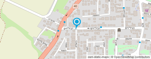 מפת הגעה אל בלייך אריה אימובילייזרים ושלטים