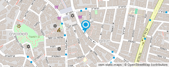 מפת הגעה אל רידיס עבודות שיפוצים