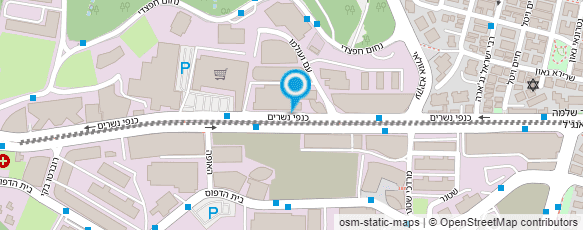 מפת הגעה אל תמנון- נשים גברים וילדים מפת הגעה אל תמנון- נשים גברים וילדים