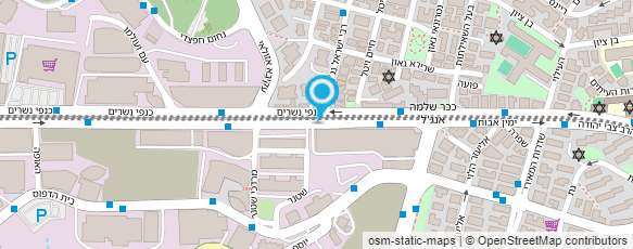 מפת הגעה אל שחר תרגום מקצועי