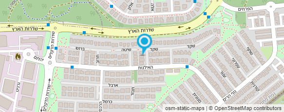 מפת הגעה אל שרי לביא