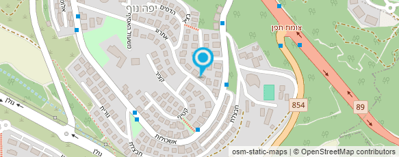 מפת הגעה אל אירנה שמידוב