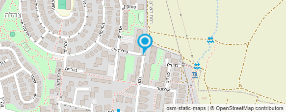 מפת הגעה אל רביד פיטר RP