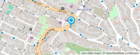 מפת הגעה אל רילטי אקזקיוטיב חיפה מפת הגעה אל רילטי אקזקיוטיב חיפה