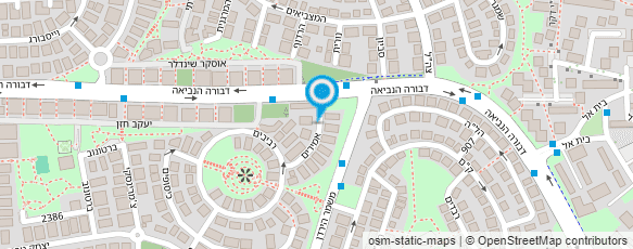 מפת הגעה אל שרה לוין