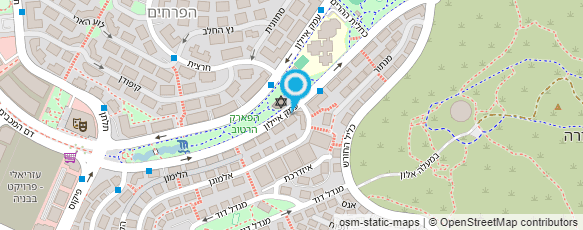 מפת הגעה אל רותי פינק