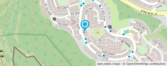 מפת הגעה אל "אמונה" מעון יום