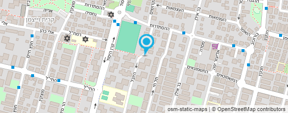 מפת הגעה אל וינה - veena's art cakes