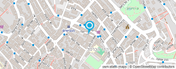 מפת הגעה אל פטרבורג חנות ספרים