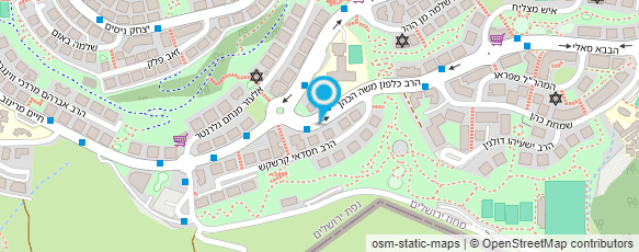 מפת הגעה אל דנה שפילמן