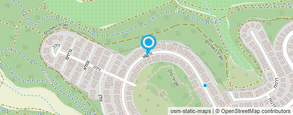 מפת הגעה אל דיוויד ניסן