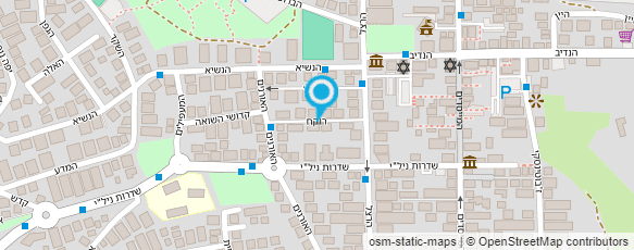 מפת הגעה אל דינה דיאמנט