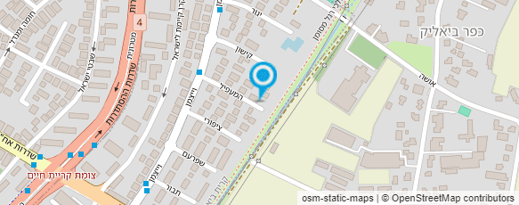 מפת הגעה אל הדס איש-לב