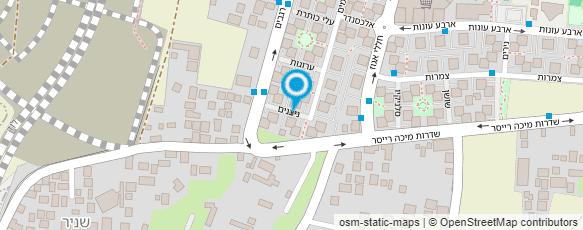 מפת הגעה אל דלתות רומי