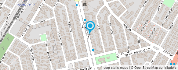 מפת הגעה אל ליידיס לייף