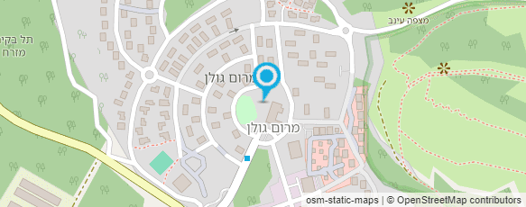 מפת הגעה אל אסתר גוגנהיימר פורמן