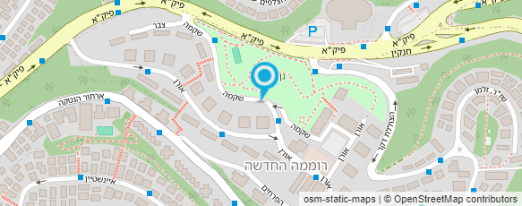 מפת הגעה אל סטלה רוג'ינסקי- תרגום ולוקאליזציה