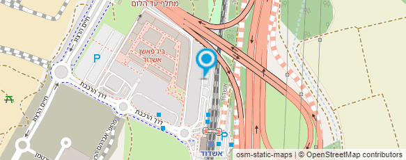 מפת הגעה אל מיסטר ג'ונס קעקועים