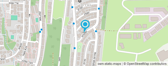 מפת הגעה אל מגנטומיקס-magnetomix