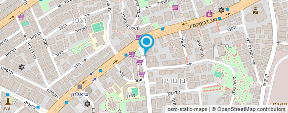 מפת הגעה אל איליה מורה לגיטרה