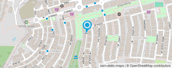 מפת הגעה אל אסנת גולדנברג שרם