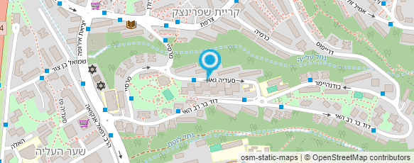 מפת הגעה אל רעיה-איבחון בכף היד