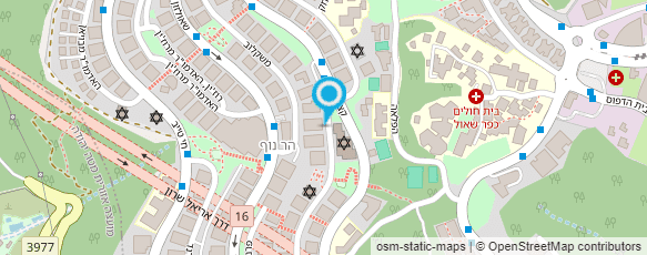 מפת הגעה אל דוד לניאדו