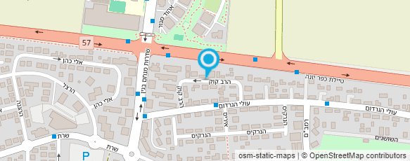 מפת הגעה אל הנדימן זיו