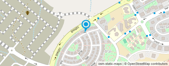 מפת הגעה אל רות גולדברג