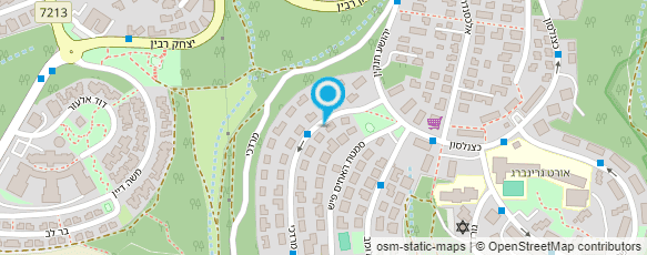 מפת הגעה אל עדנה בן צבי-ציור