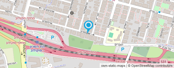 מפת הגעה אל דינה צור