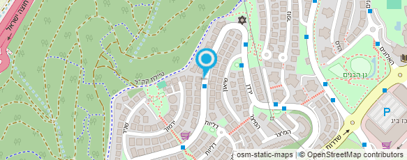 מפת הגעה אל נחמן פרץ מטפל בכאב