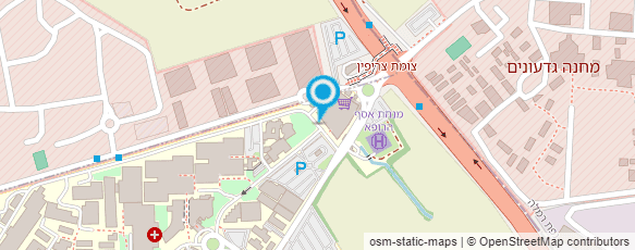 מפת הגעה אל מגנוליה מפת הגעה אל מגנוליה