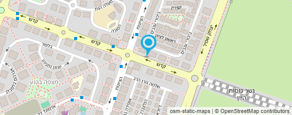 מפת הגעה אל הום ארט ריקי