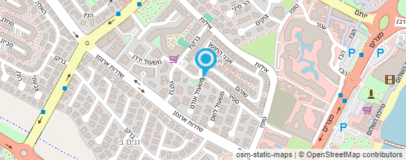 מפת הגעה אל דודו שטיחים ופרקטים