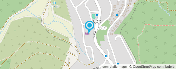 מפת הגעה אל ורד טרי - ציירת