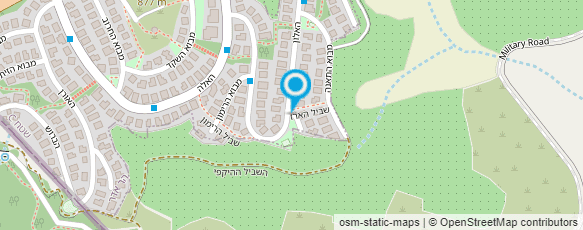 מפת הגעה אל לוי בנימיני-צייר