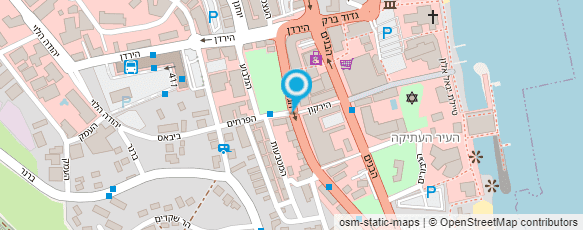 מפת הגעה אל קיווי KIWI