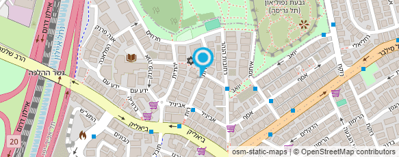 מפת הגעה אל דולפין שליחויות