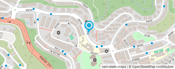 מפת הגעה אל דקל ניהול פרוייקטים