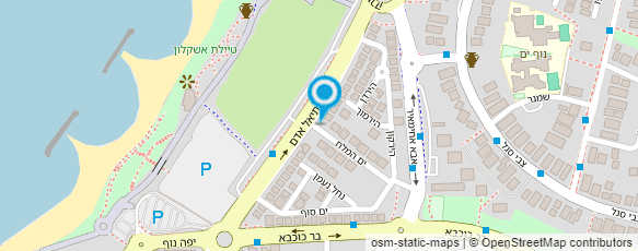 מפת הגעה אל ריקי אור