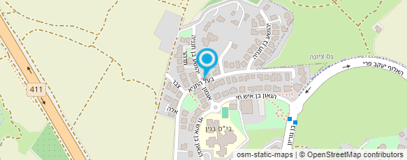 מפת הגעה אל אולגה מנצור-אימון אישי